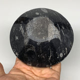 930g, 4pcs, 4.3" Small Fossils Ammonite Orthoceras Bowl Round Shape, B8867