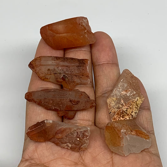 49g, 1.2"-1.6", 6pcs, Natural Red Quartz Crystal Terminated @Morocco, B11355