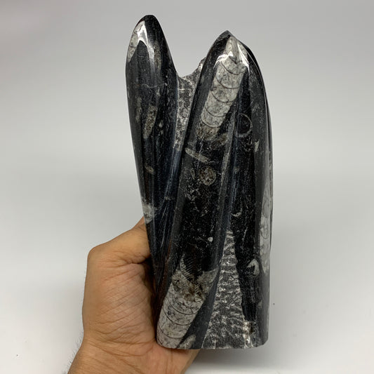 1240g, 7.2"x3.4"x2.4" Black Fossils Orthoceras Sculpture Tower @Morocco, B23445