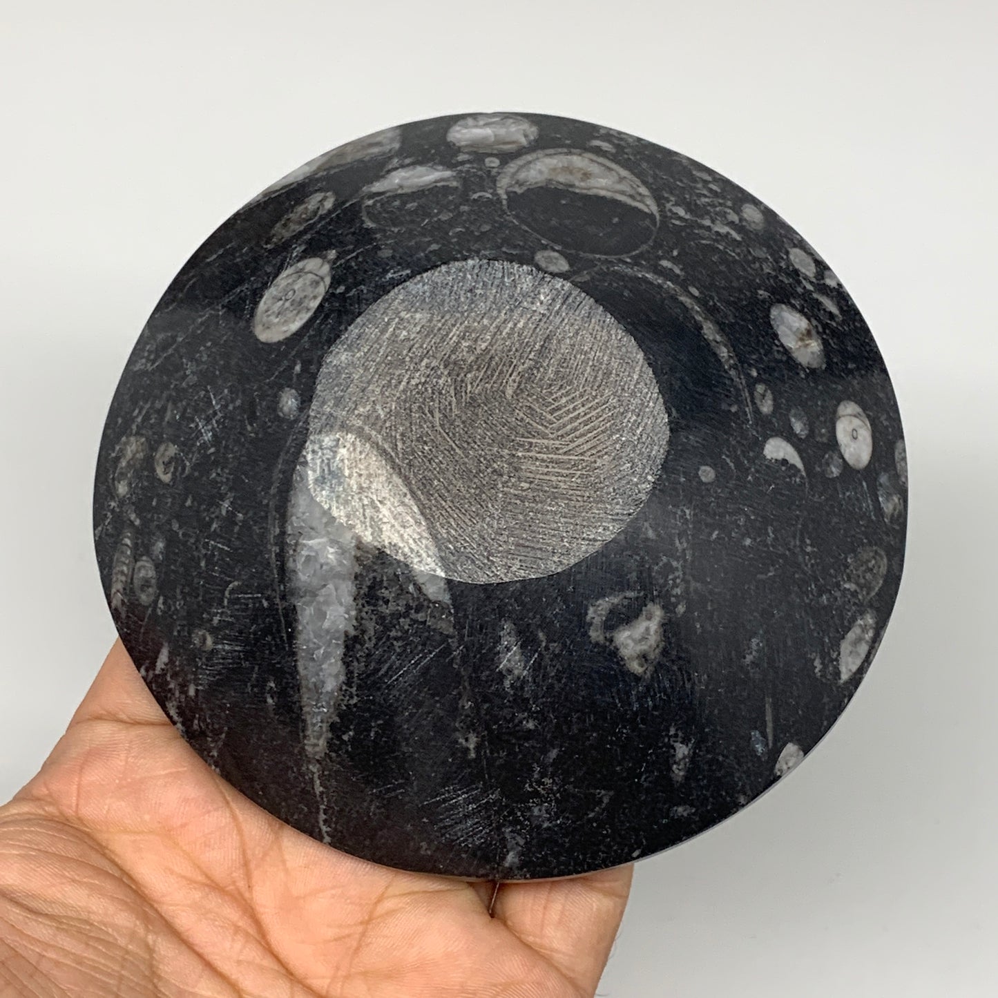 836g, 4pcs, 4.3" Small Fossils Ammonite Orthoceras Bowl Round Shape, B8868