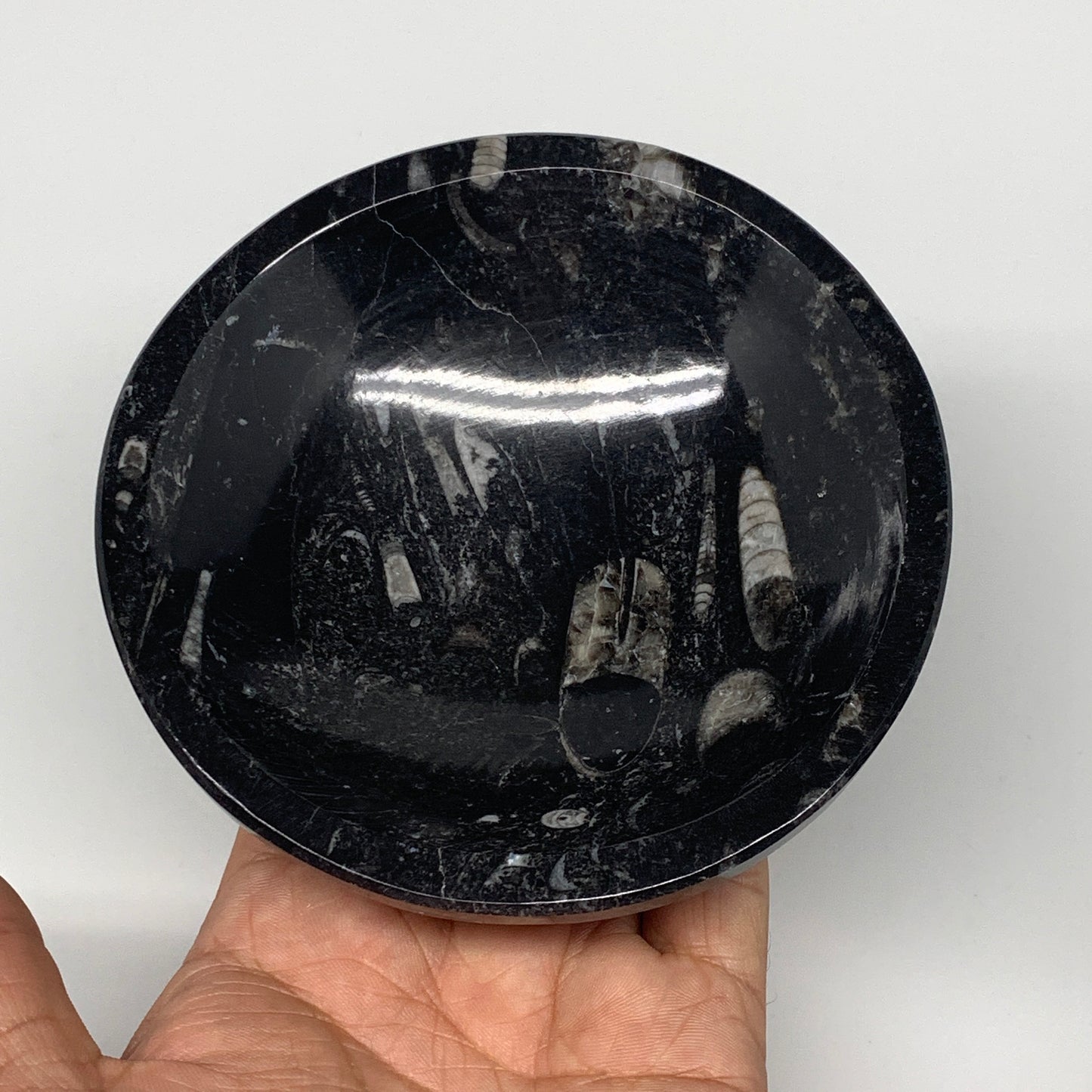 836g, 4pcs, 4.3" Small Fossils Ammonite Orthoceras Bowl Round Shape, B8868