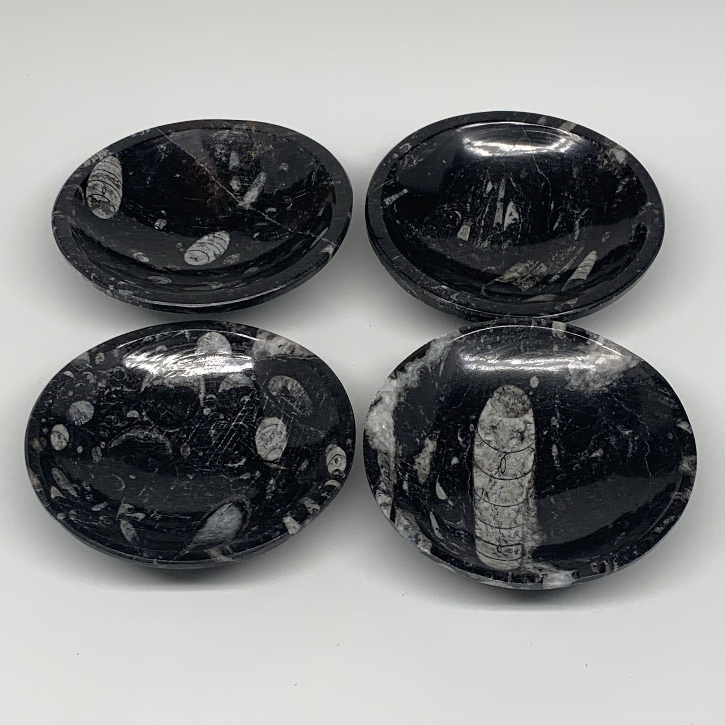 836g, 4pcs, 4.3" Small Fossils Ammonite Orthoceras Bowl Round Shape, B8868