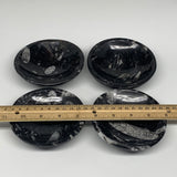 836g, 4pcs, 4.3" Small Fossils Ammonite Orthoceras Bowl Round Shape, B8868