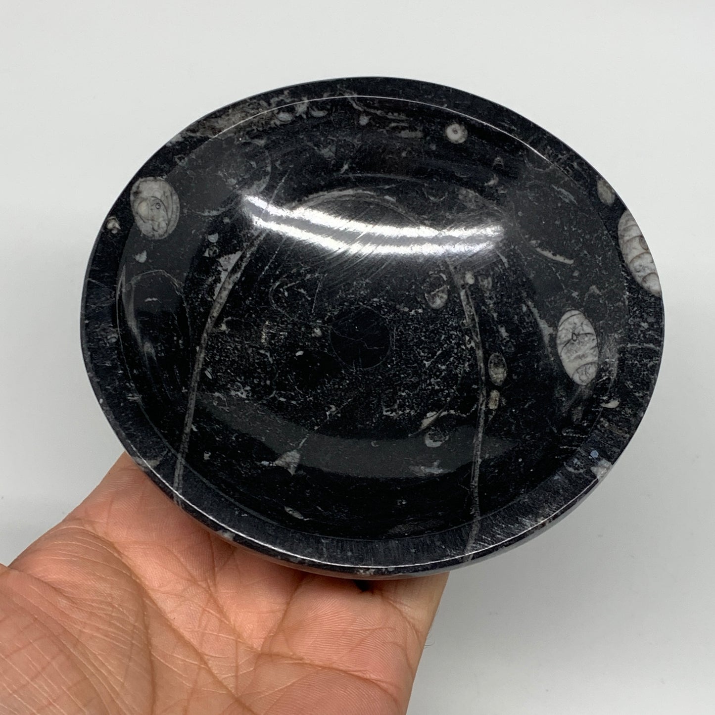 902g, 4pcs, 4.3" Small Fossils Ammonite Orthoceras Bowl Round Shape, B8870