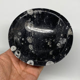 902g, 4pcs, 4.3" Small Fossils Ammonite Orthoceras Bowl Round Shape, B8870