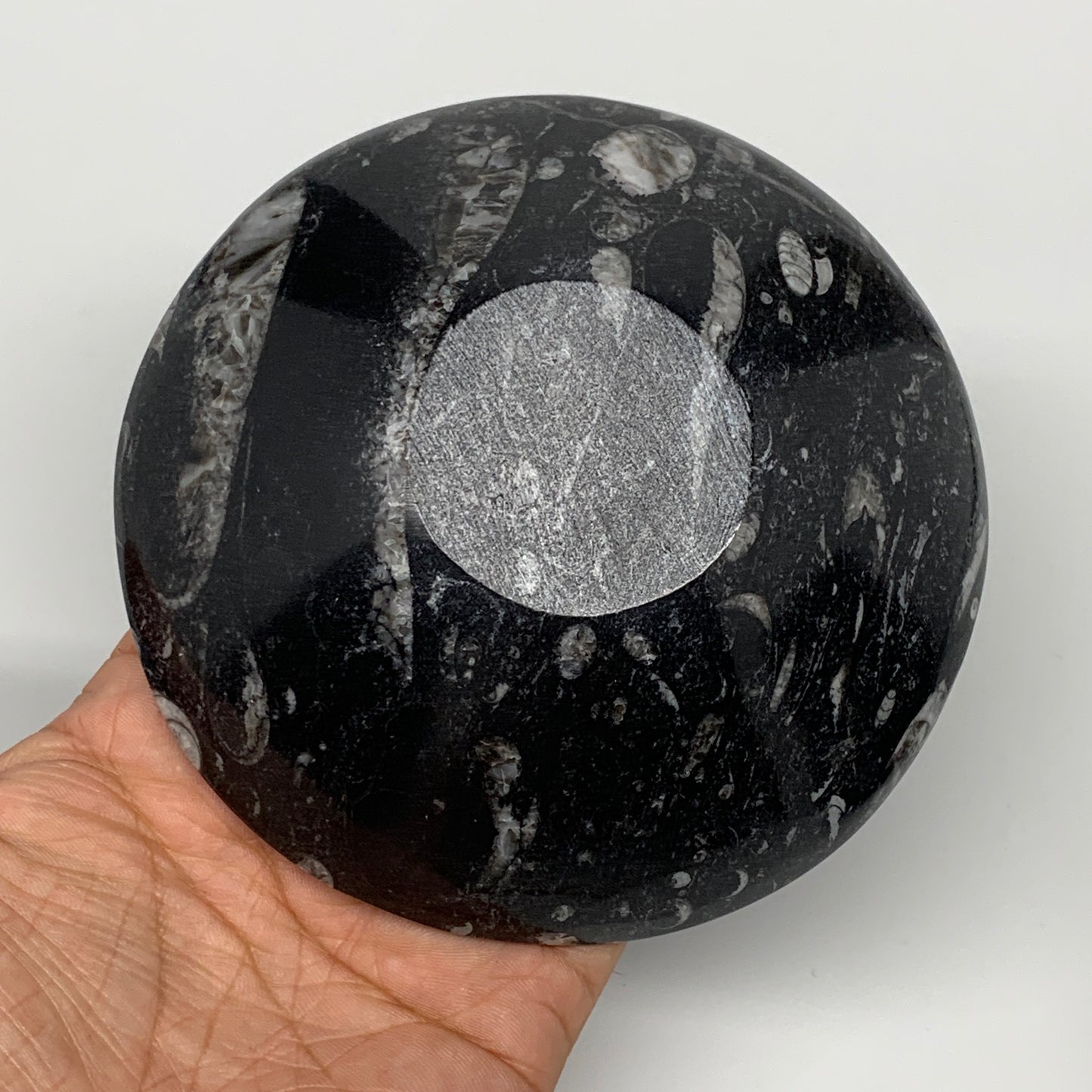 902g, 4pcs, 4.3" Small Fossils Ammonite Orthoceras Bowl Round Shape, B8870