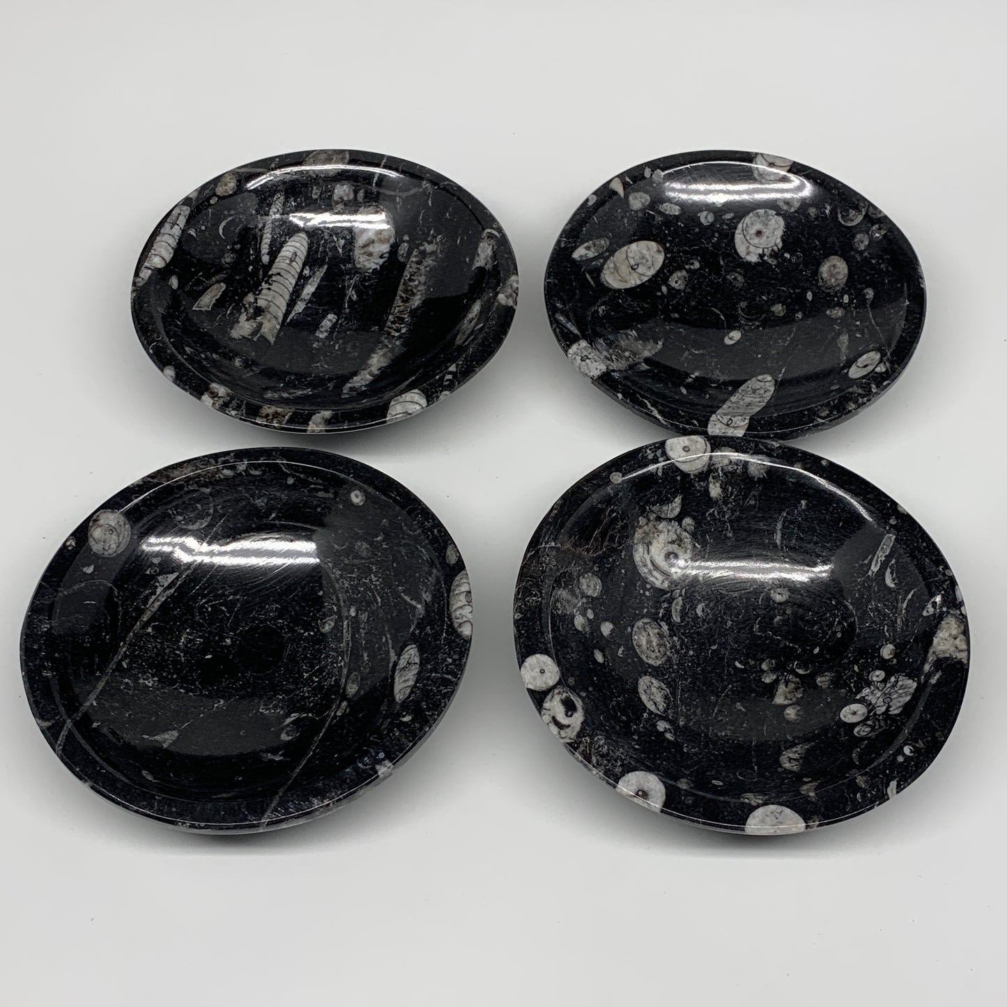 902g, 4pcs, 4.3" Small Fossils Ammonite Orthoceras Bowl Round Shape, B8870