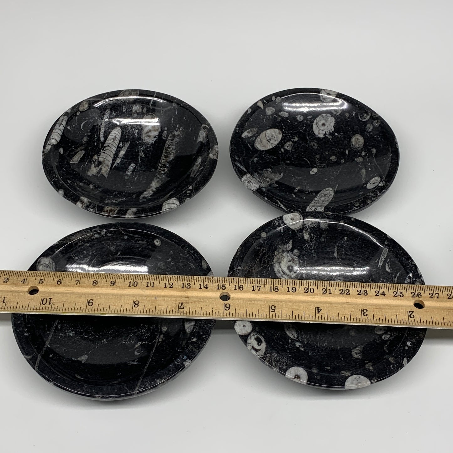 902g, 4pcs, 4.3" Small Fossils Ammonite Orthoceras Bowl Round Shape, B8870