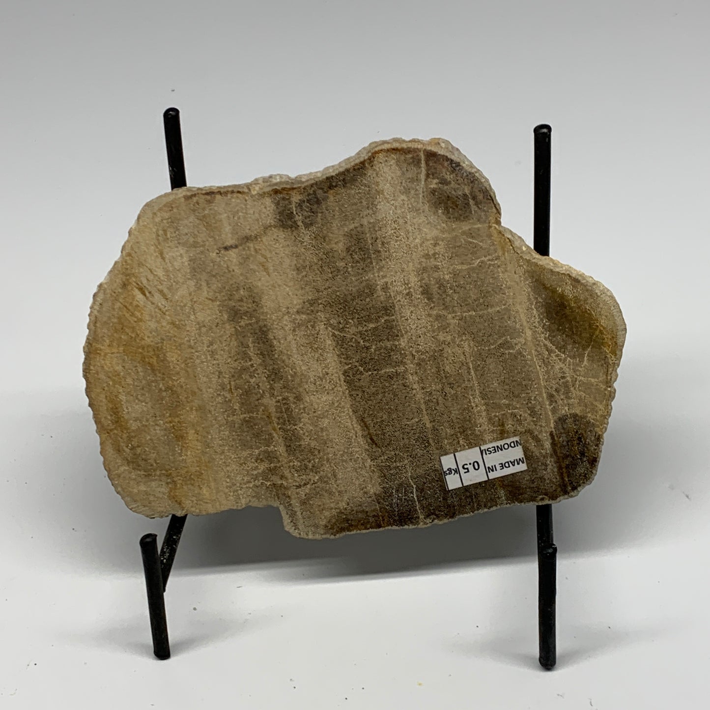 470g,6"x4.3"x0.7" Petrified Wood Slab Tree Branch Specimen, Minerals, B22695