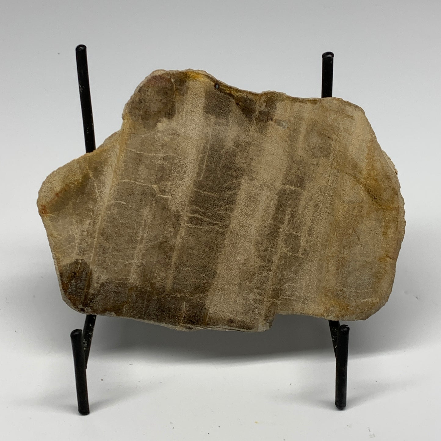 470g,6"x4.3"x0.7" Petrified Wood Slab Tree Branch Specimen, Minerals, B22695