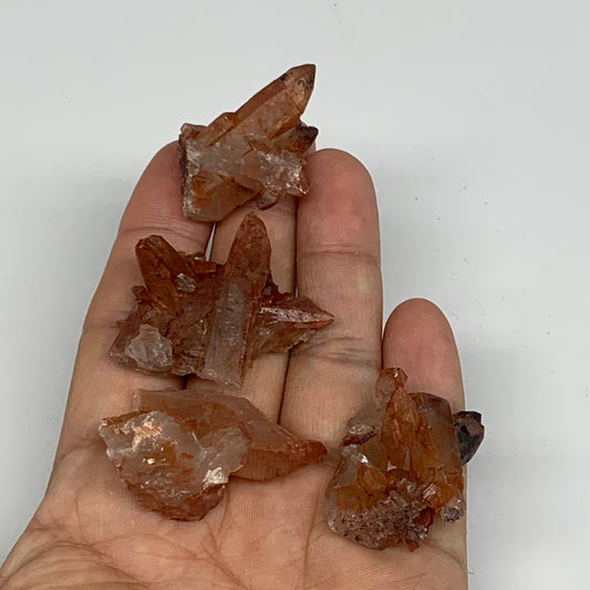 48.9g, 1.2"-1.6", 4pcs, Natural Red Quartz Crystal Terminated @Morocco, B11361