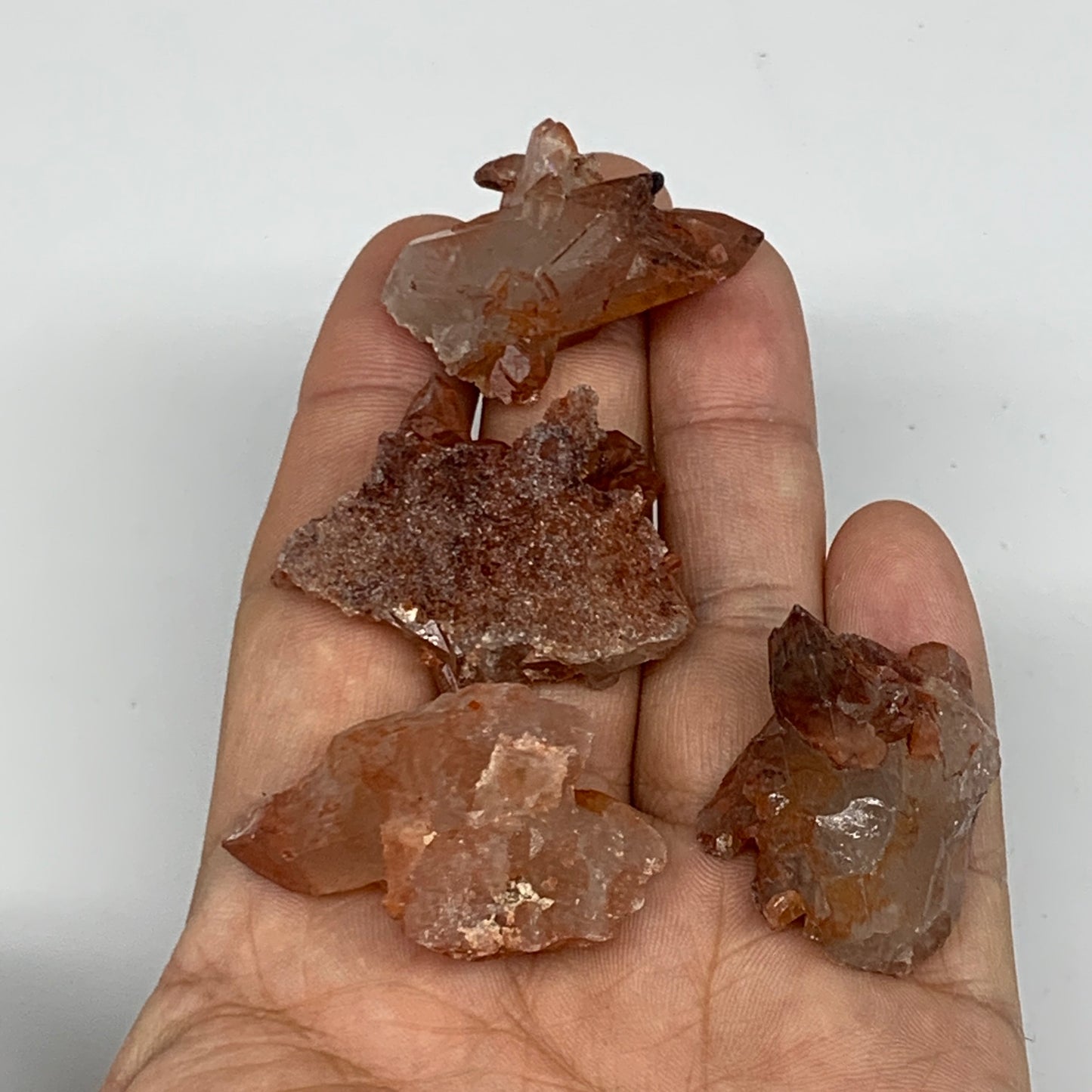 48.9g, 1.2"-1.6", 4pcs, Natural Red Quartz Crystal Terminated @Morocco, B11361
