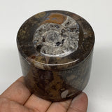 223.3g, 2.2"x2.4" Brown Fossils Ammonite Jewelry Box from Morocco, F2466
