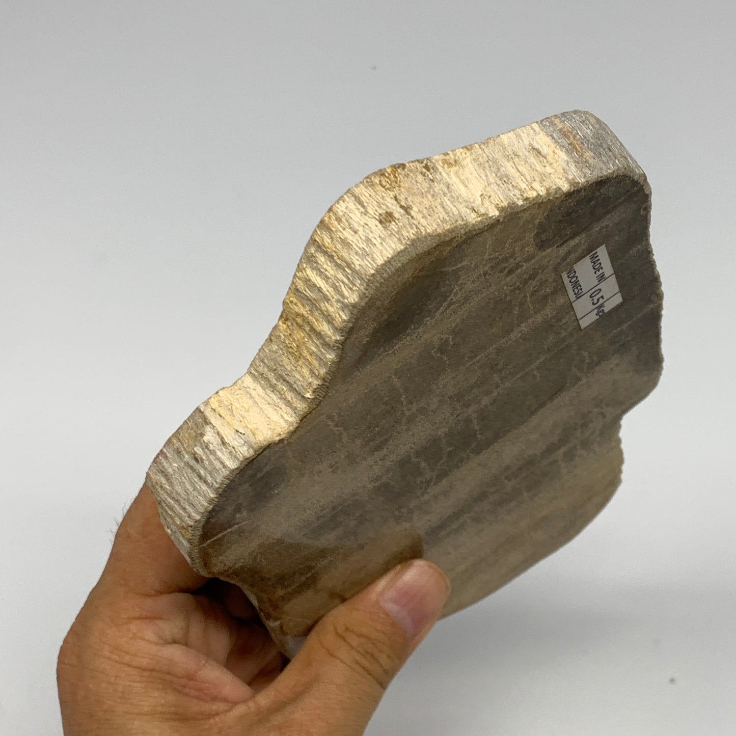 470g,6"x4.3"x0.7" Petrified Wood Slab Tree Branch Specimen, Minerals, B22695