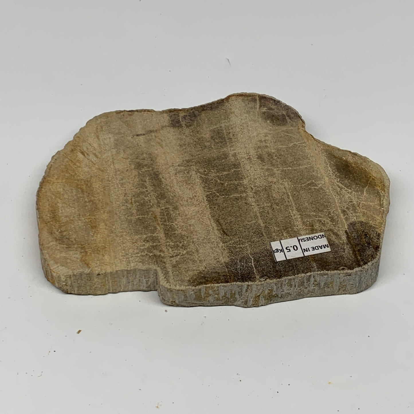 470g,6"x4.3"x0.7" Petrified Wood Slab Tree Branch Specimen, Minerals, B22695