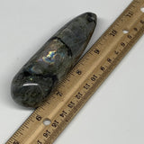 159.36g,4.1"x1.2" Natural Labradorite Wand Stick Home Decor, Collectible, B5986