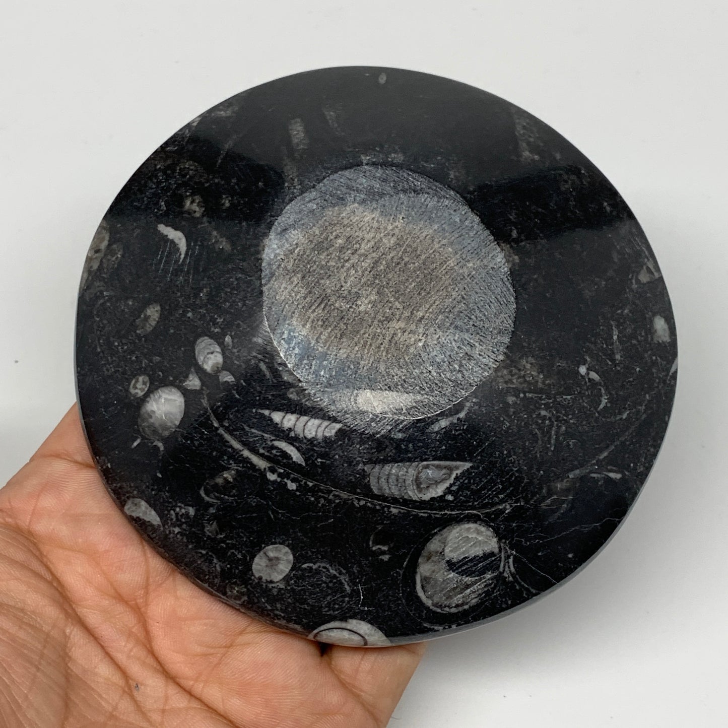 834g, 4pcs, 4.3" Small Fossils Ammonite Orthoceras Bowl Round Shape, B8874