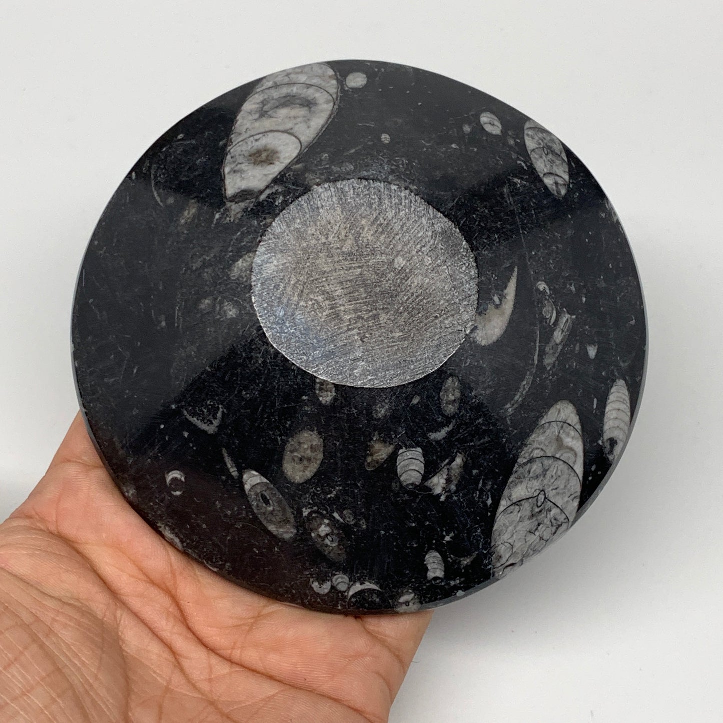 834g, 4pcs, 4.3" Small Fossils Ammonite Orthoceras Bowl Round Shape, B8874