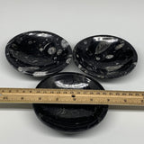 682g, 3pcs, 4.3" Small Fossils Ammonite Orthoceras Bowl Round Shape, B8875