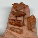 53.8g, 1.3"-1.6", 5pcs, Natural Red Quartz Crystal Terminated @Morocco, B11368
