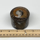 223g, 2.2"x2.4" Brown Fossils Ammonite Jewelry Box from Morocco, F2472