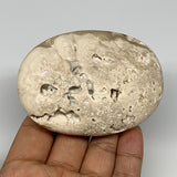 154.6g, 3.2"x2.4"x1.1", Chocolate Calcite Palm-Stone Reiki @Afghanistan, B14695