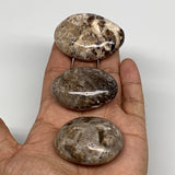 123.4g, 1.8"-2", 3pcs, Natural Black Opal Palm Stone Polished, Crystal, Reiki, B