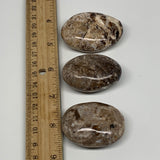 123.4g, 1.8"-2", 3pcs, Natural Black Opal Palm Stone Polished, Crystal, Reiki, B