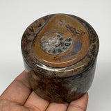 230.1g, 2.2"x2.4" Brown Fossils Ammonite Jewelry Box from Morocco, F2477