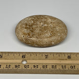 70.4g, 2.4"x1.7"x0.7", Chocolate Calcite Palm-Stone Reiki @Afghanistan, B14696