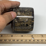 230.1g, 2.2"x2.4" Brown Fossils Ammonite Jewelry Box from Morocco, F2477