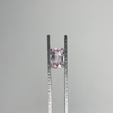 1.42cts, 8mmx5mmx3mm, Kunzite Crystal Facetted Cut Stone @Afghanistan, CTS15