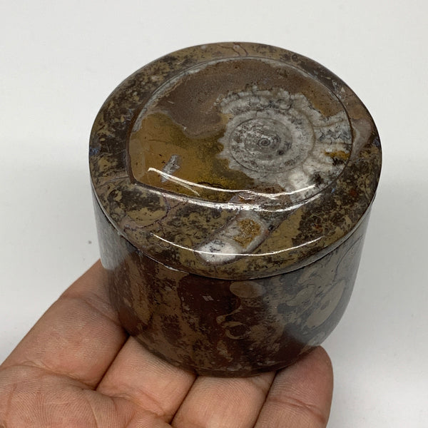 220.4g, 2.2"x2.4" Brown Fossils Ammonite Jewelry Box from Morocco, F2482