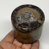 218.3g, 2.2"x2.4" Brown Fossils Ammonite Jewelry Box from Morocco, F2483