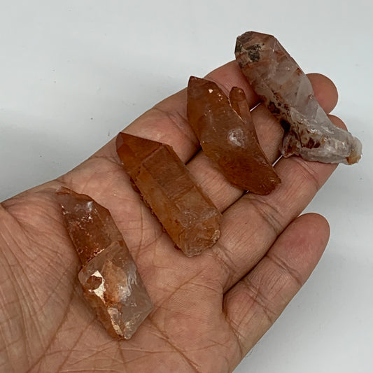 59g, 1.7"-2.1", 4pcs, Natural Red Quartz Crystal Terminated @Morocco, B11381