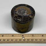 218.3g, 2.2"x2.4" Brown Fossils Ammonite Jewelry Box from Morocco, F2483