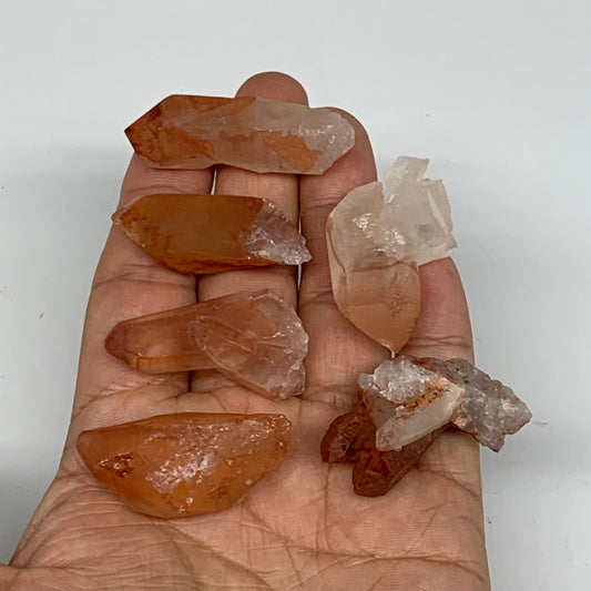 64.1g, 1.3"-1.7", 6pcs, Natural Red Quartz Crystal Terminated @Morocco, B11385