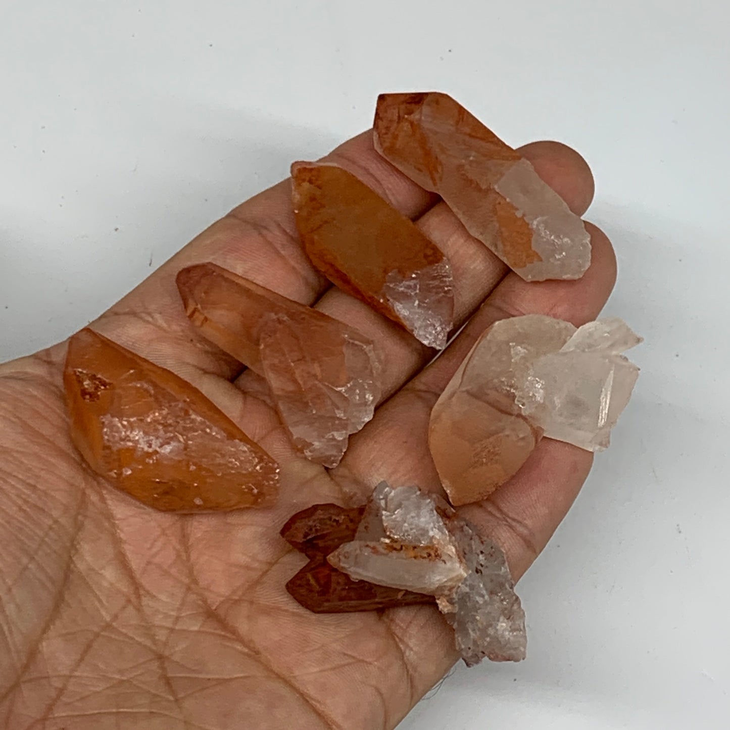 64.1g, 1.3"-1.7", 6pcs, Natural Red Quartz Crystal Terminated @Morocco, B11385