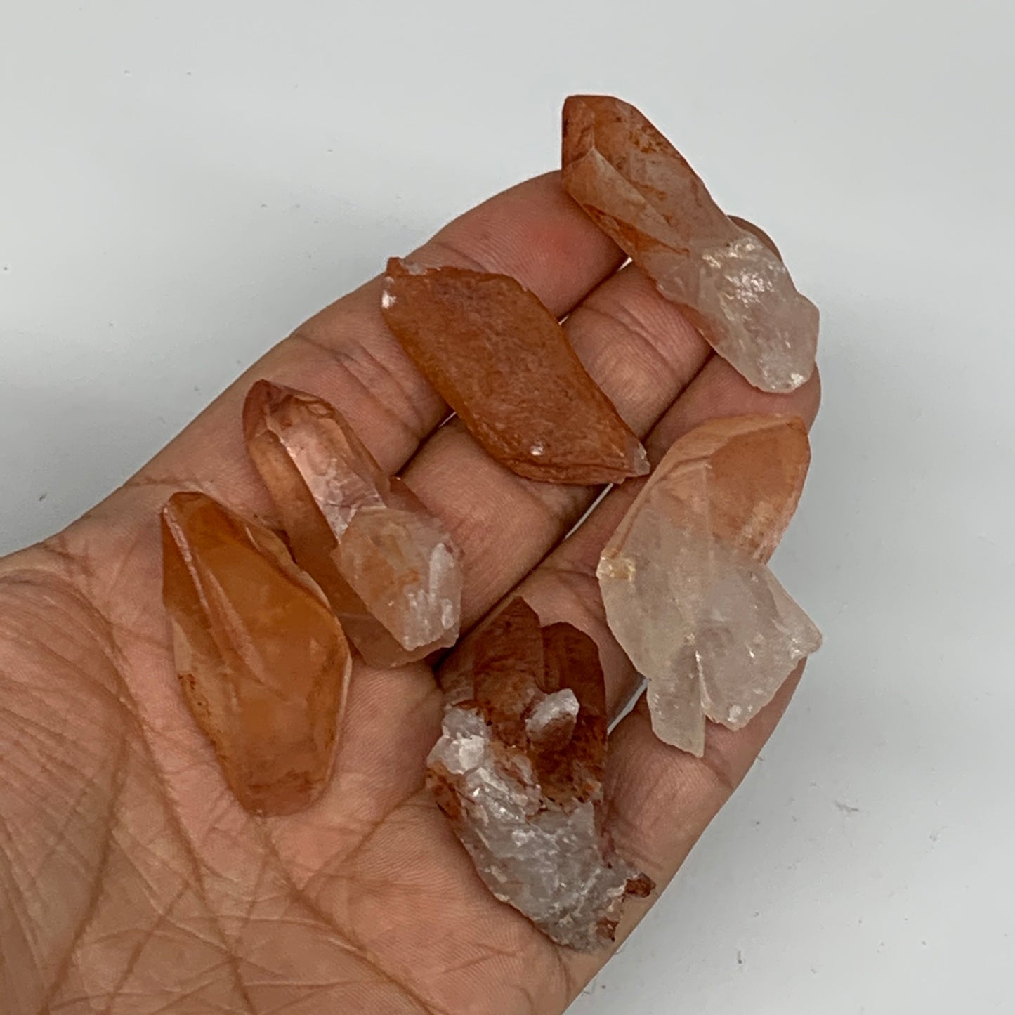 64.1g, 1.3"-1.7", 6pcs, Natural Red Quartz Crystal Terminated @Morocco, B11385