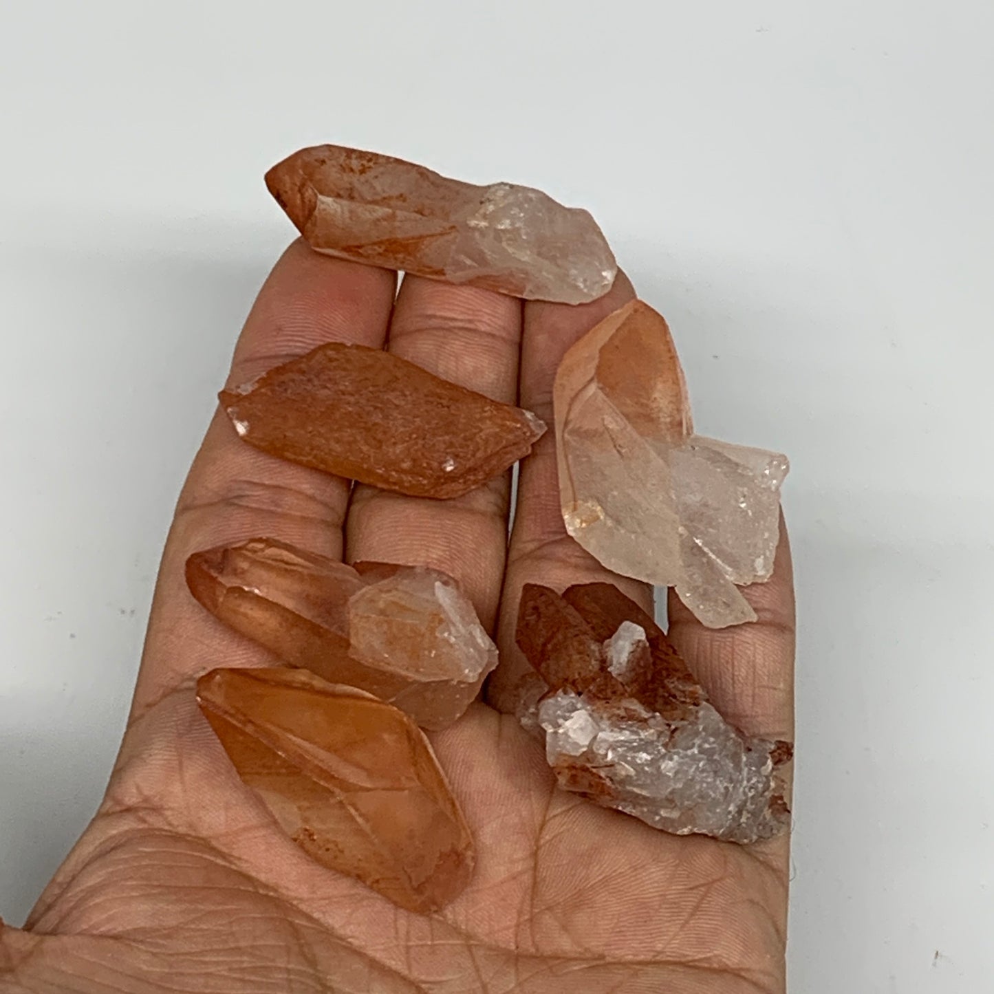 64.1g, 1.3"-1.7", 6pcs, Natural Red Quartz Crystal Terminated @Morocco, B11385
