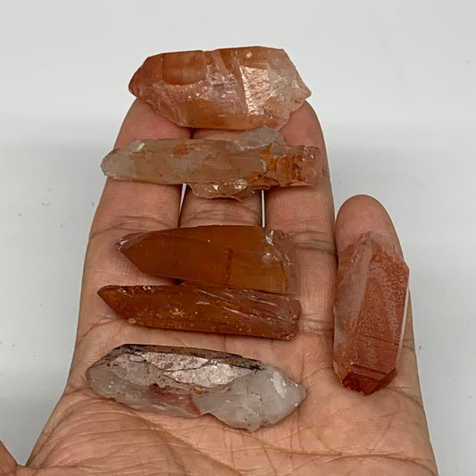 56.7g, 1.4"-2", 6pcs, Natural Red Quartz Crystal Terminated @Morocco, B11387