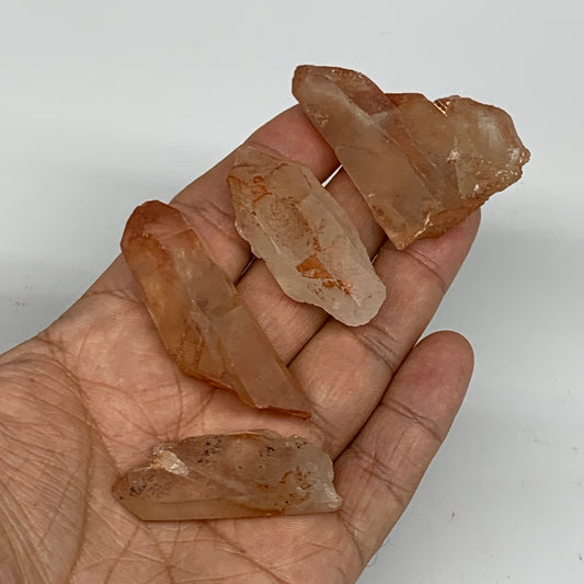 68.4g, 1.7"-2.1", 4pcs, Natural Red Quartz Crystal Terminated @Morocco, B11388