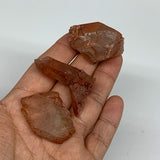 63.1g, 1.5"-1.6", 3pcs, Natural Red Quartz Crystal Terminated @Morocco, B11389