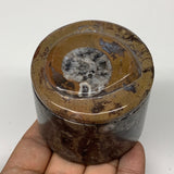 222.3g, 2.2"x2.4" Brown Fossils Ammonite Jewelry Box from Morocco, F2492