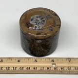 222.3g, 2.2"x2.4" Brown Fossils Ammonite Jewelry Box from Morocco, F2492
