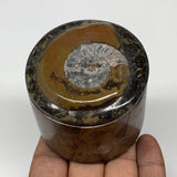 225.9g, 2.2"x2.4" Brown Fossils Ammonite Jewelry Box from Morocco, F2497