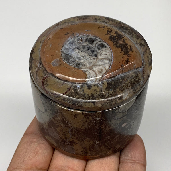 224.4g, 2.2"x2.4" Brown Fossils Ammonite Jewelry Box from Morocco, F2498