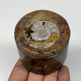 224.9g, 2.2"x2.4" Brown Fossils Ammonite Jewelry Box from Morocco, F2499
