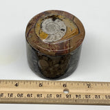 224.9g, 2.2"x2.4" Brown Fossils Ammonite Jewelry Box from Morocco, F2499