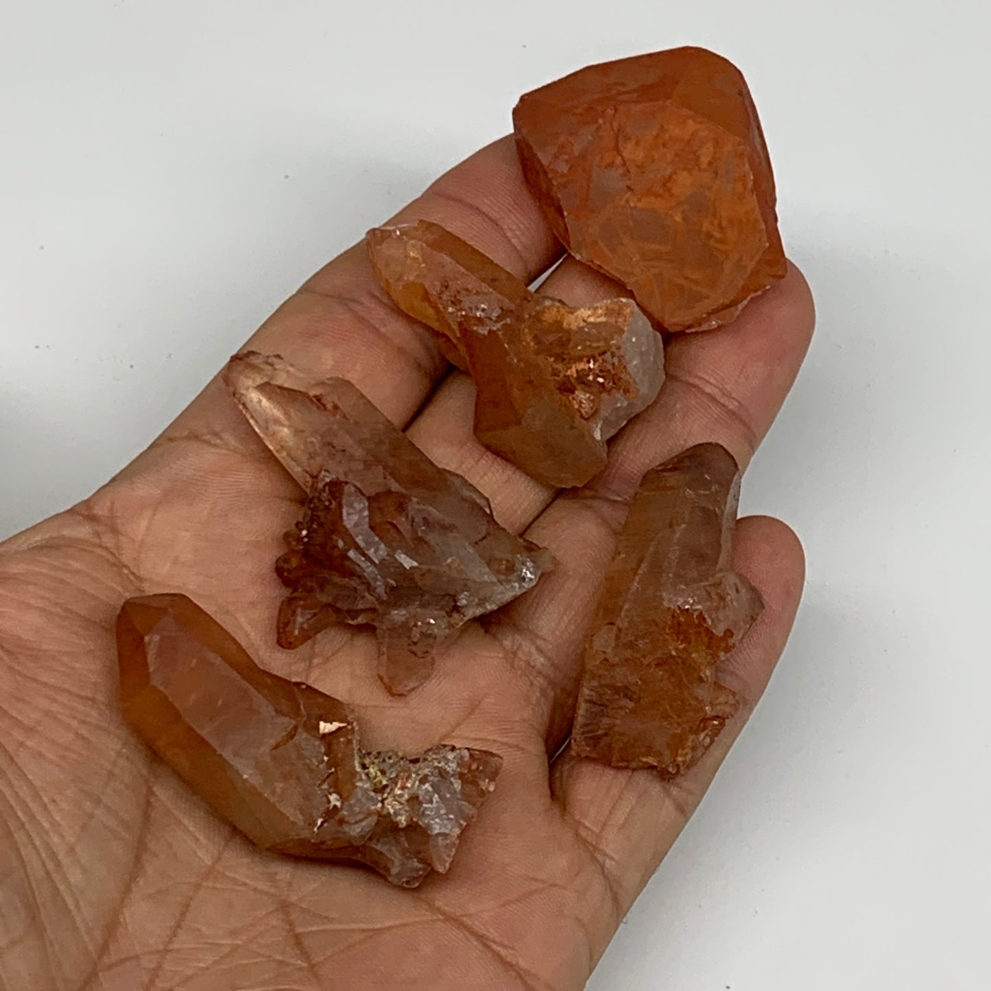 74.4g, 1.5"-1.7", 5pcs, Natural Red Quartz Crystal Terminated @Morocco, B11403